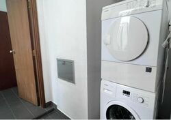 The Balmoral Spring (D10), Apartment #478194461